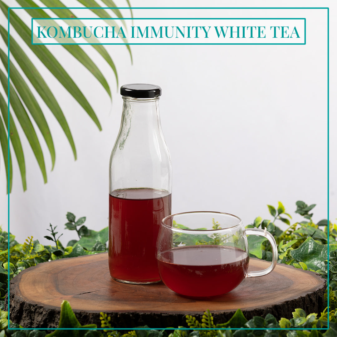 IMMUNITY KOMBUCHA