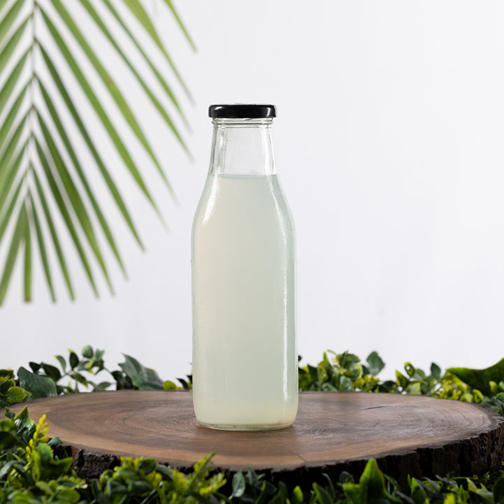 LEMONGRASS MINT WATER KEKIR