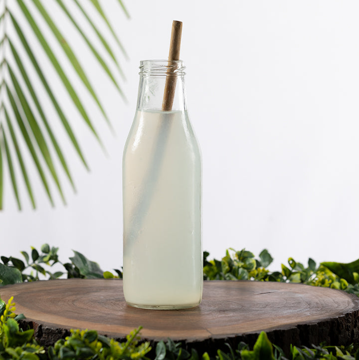 LEMONGRASS MINT WATER KEKIR