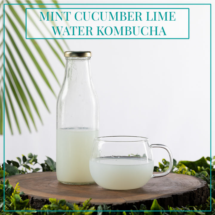 MINT CUCUMBER LIME WATER KEFIR