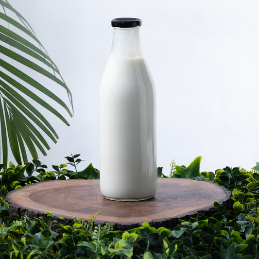 PLAIN MILK KEFIR