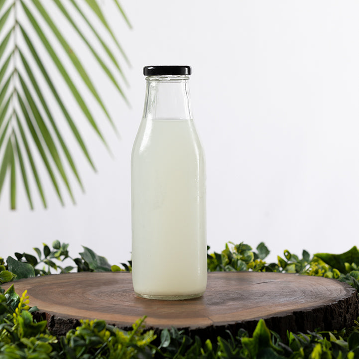 Coconut kefir