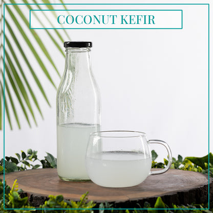 Coconut Kefir