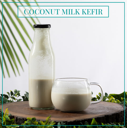 Coconut Milk Kefir 