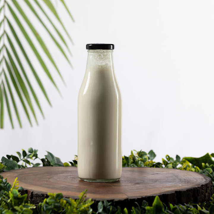 Coconut Milk Kefir 