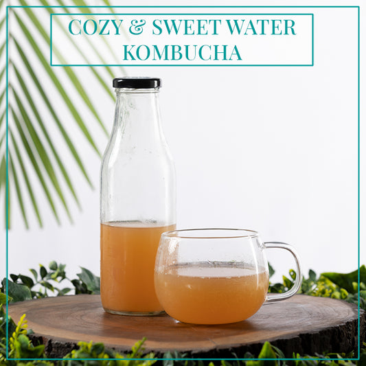 Cozy & Sweet Water Kombucha