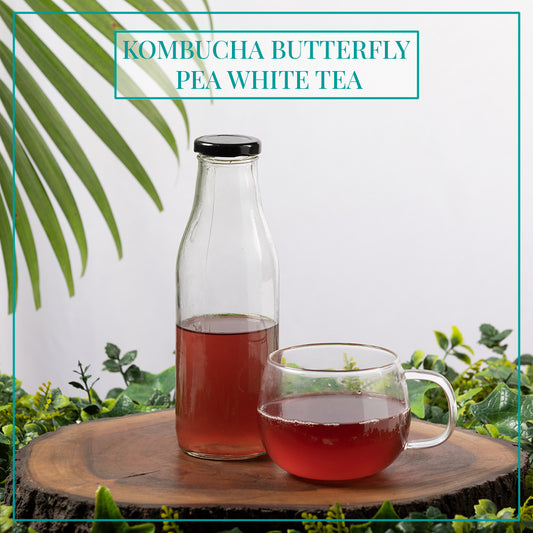 PLAIN WHITE TEA KOMBUCHA