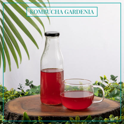 GARDENIA  KOMBUCHA