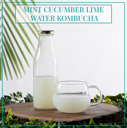 MINT CUCUMBER LIME WATER KEFIR