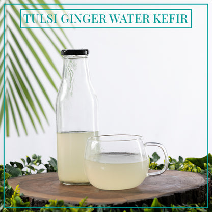 TULSI GINGER WATER KEFIR